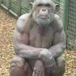 Meet your Posher, Rick